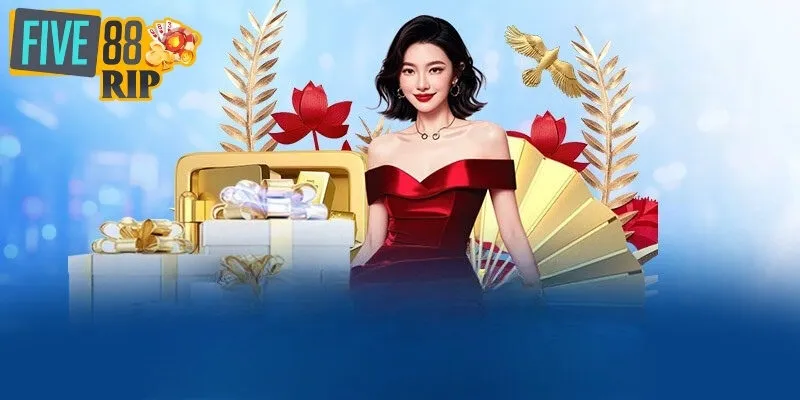 Quyền Lợi Thành Viên Các thành viên có quyền lợi gì khi tham gia chơi FIVE88?